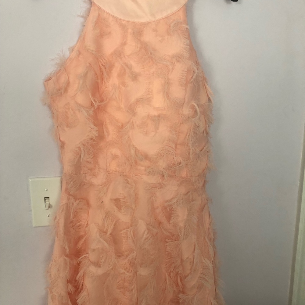 Pink Dress - Picture 4 of 7